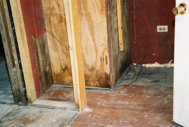 someofthewoodstillshowssignesofdampness.jpg