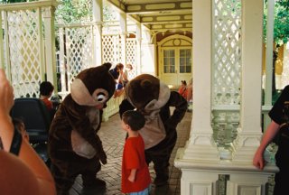 chipndale.jpg