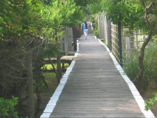 fiboardwalk4.jpg