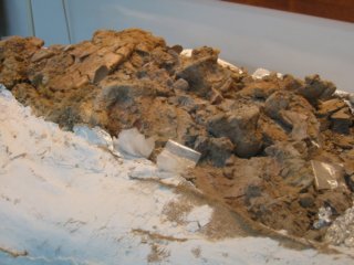 museumbonesinclay3.jpg