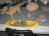 museumdinoinegg_small.jpg