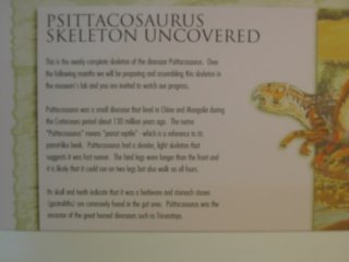 psittacosaurusmuseumsign.jpg