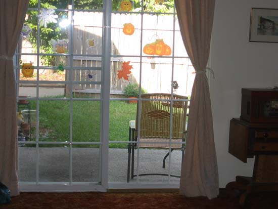 backWindow